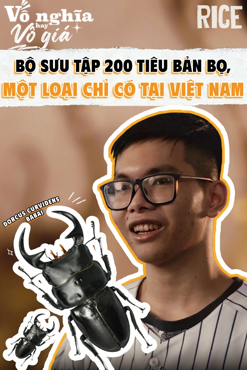 Bộ sưu tập hơn 200 mẫu côn trùng, đặc biệt là loài chỉ có ở Việt Nam